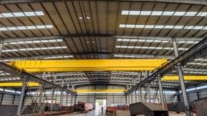 Mehrfache Modelle 50 Ton Overhead Crane