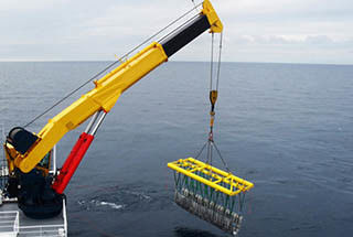 Ferngesteuerter Gelenkausleger-Marinedeckkran 10 Tonnen angepasst